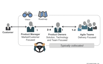Product Management or Product Ownership?